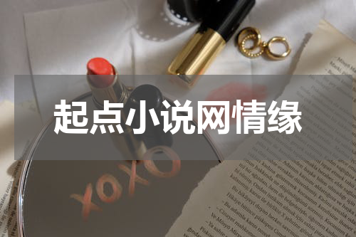 起点小说网情缘