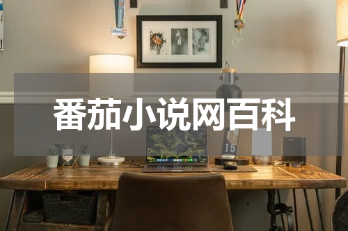 番茄小说网百科