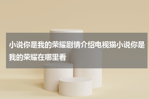 小说你是我的荣耀剧情介绍电视猫小说你是我的荣耀在哪里看