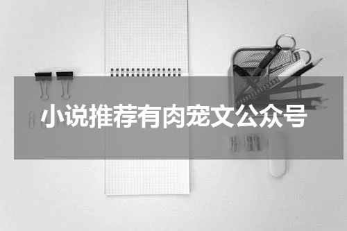 小说推荐有肉宠文公众号