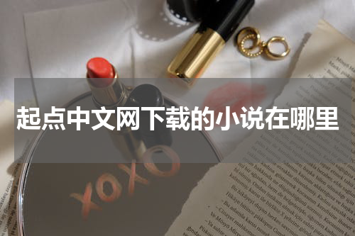 起点中文网下载的小说在哪里