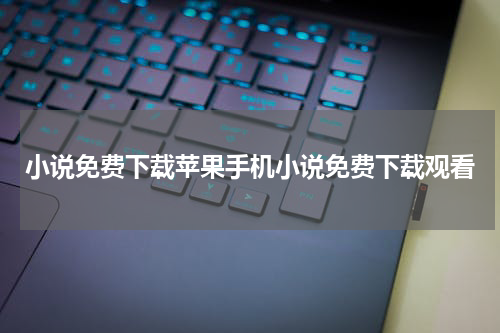 小说免费下载苹果手机小说免费下载观看