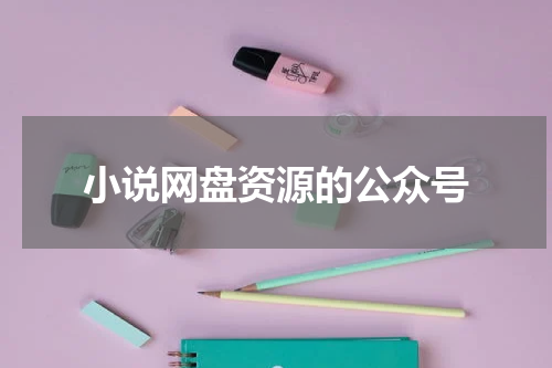 小说网盘资源的公众号