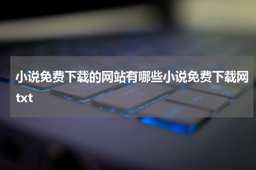 小说免费下载的网站有哪些小说免费下载网txt
