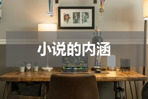 小说的内涵