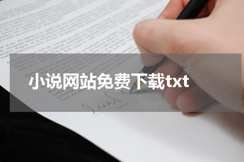 小说网站免费下载txt