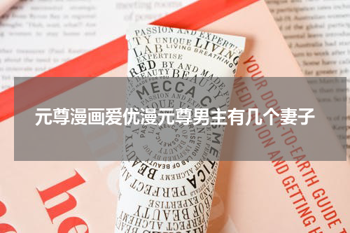 元尊漫画爱优漫元尊男主有几个妻子