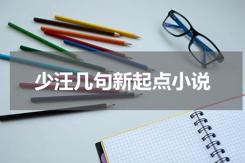 少汪几句新起点小说