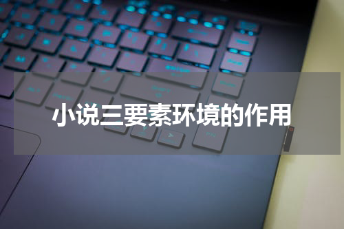 小说三要素环境的作用