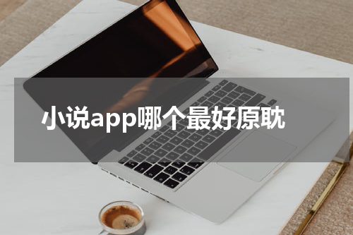 小说app哪个最好原耽