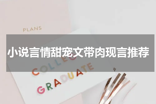 小说言情甜宠文带肉现言推荐