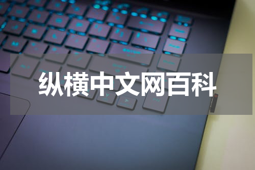 纵横中文网百科