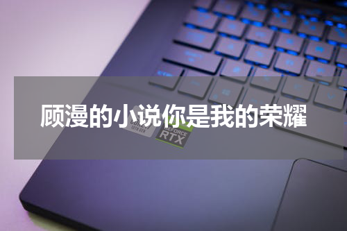 顾漫的小说你是我的荣耀