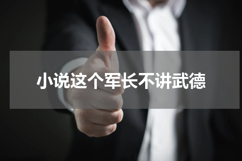 小说这个军长不讲武德