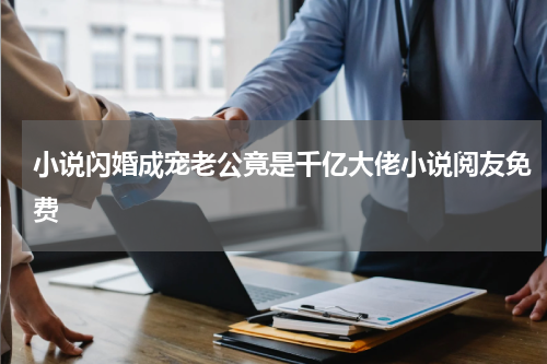 小说闪婚成宠老公竟是千亿大佬小说阅友免费