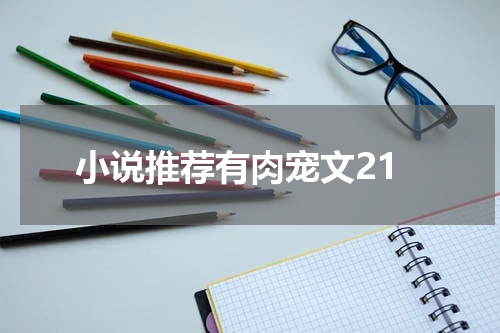 小说推荐有肉宠文21
