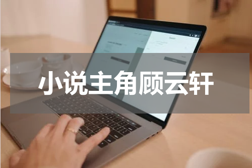 小说主角顾云轩