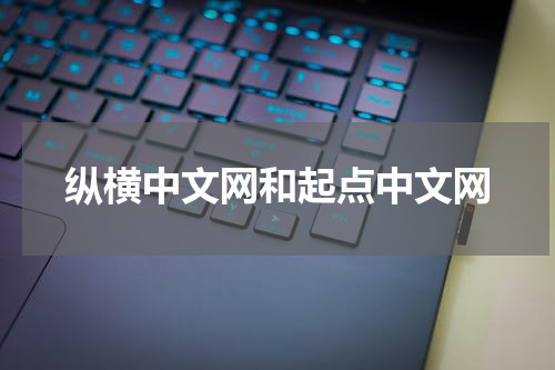 纵横中文网和起点中文网