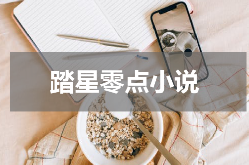 踏星零点小说