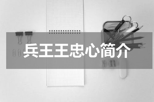 兵王王忠心简介