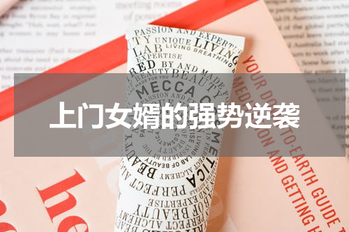 上门女婿的强势逆袭
