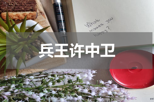 兵王许中卫