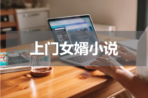 上门女婿小说