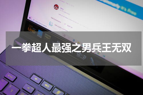 一拳超人最强之男兵王无双