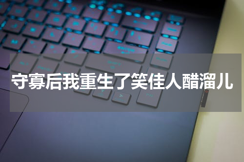 守寡后我重生了笑佳人醋溜儿