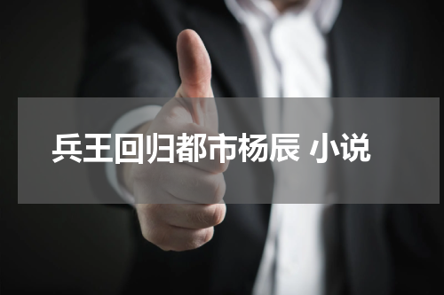 兵王回归都市杨辰 小说