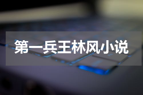 第一兵王林风小说
