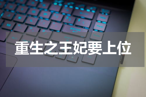 重生之王妃要上位