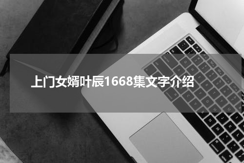 上门女婿叶辰1668集文字介绍