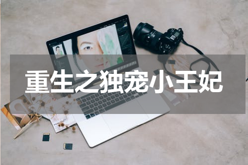 重生之独宠小王妃
