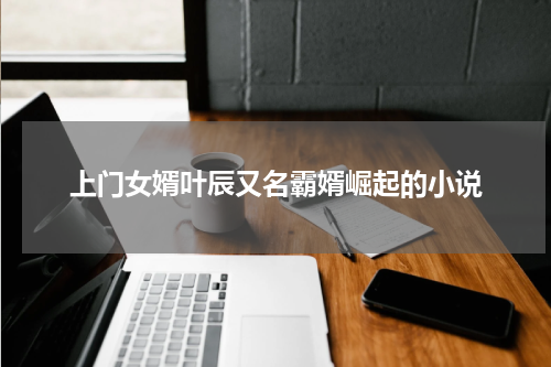 上门女婿叶辰又名霸婿崛起的小说