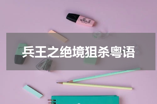 兵王之绝境狙杀粤语