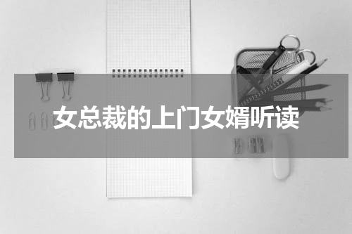 女总裁的上门女婿听读