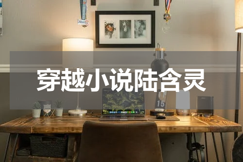 穿越小说陆含灵