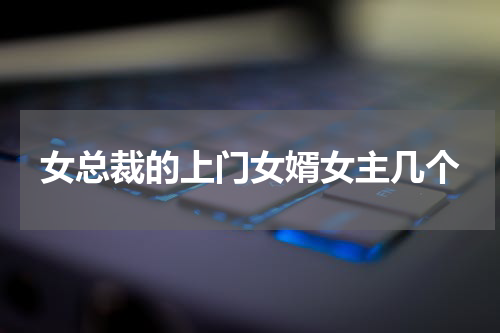 女总裁的上门女婿女主几个