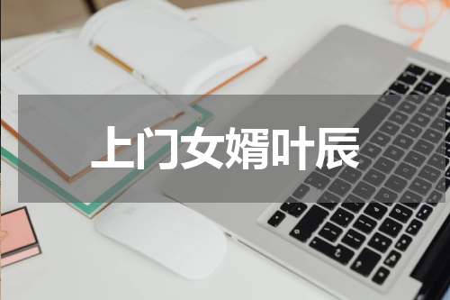 上门女婿叶辰