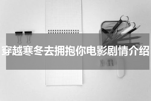 穿越寒冬去拥抱你电影剧情介绍