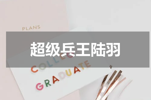 超级兵王陆羽
