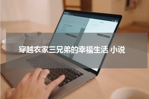 穿越农家三兄弟的幸福生活 小说