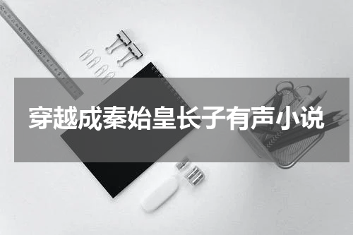 穿越成秦始皇长子有声小说