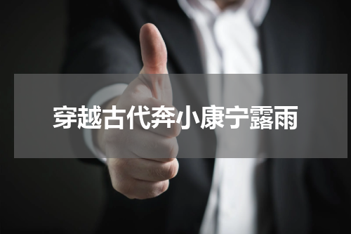 穿越古代奔小康宁露雨