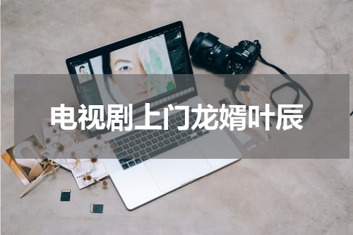 电视剧上门龙婿叶辰