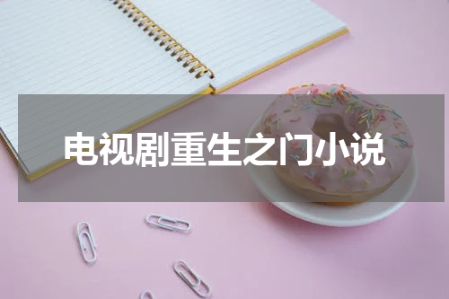 电视剧重生之门小说
