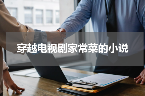 穿越电视剧家常菜的小说