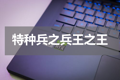 特种兵之兵王之王