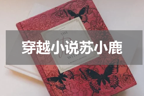 穿越小说苏小鹿